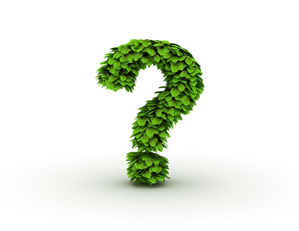 “臨沂之爭”下企業(yè)到底欠缺什么？